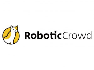 Robotic Crowd